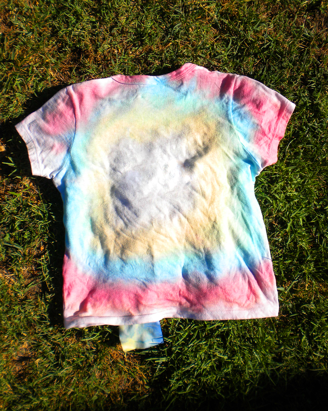 Dolphin Dyed T-Shirt